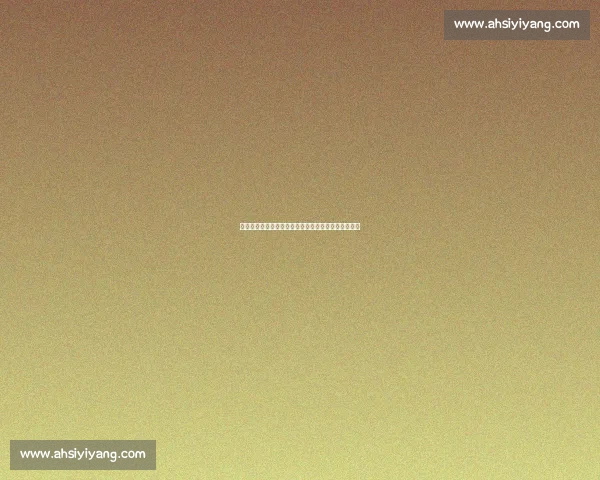 《身份的证明:一场关于真相与谎言交织的悬疑之旅》